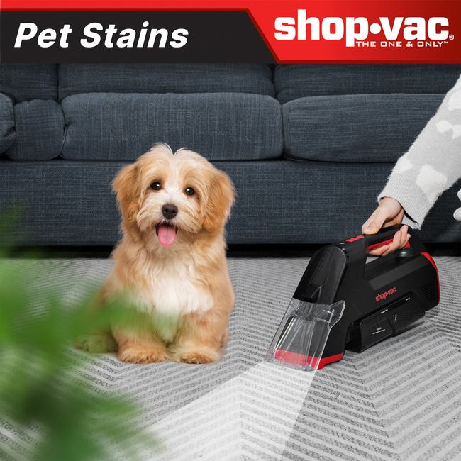 Shop-Vac 5430211 3-in-1 Cordless Spot Cleaner