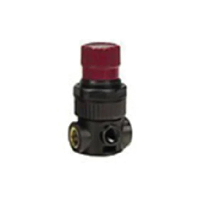 RTi MR1060-020 Regulator, 1/4 in., 0-60 psi