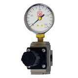 RTi RG25 Air Regulator with Gauge, 1/4 in. NPT, 0–120 PSI