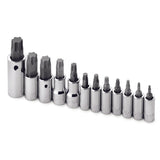 SK Tools - 12 Piece 1/4 in.-, 3/8 in.- and 1/2 in.- Drive TORX Plus Bit Socket Set