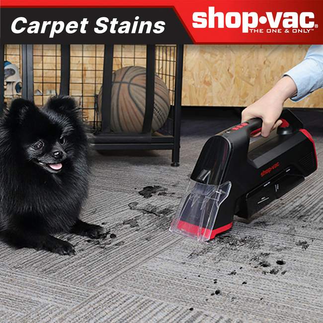 Shop-Vac 5430211 3-in-1 Cordless Spot Cleaner