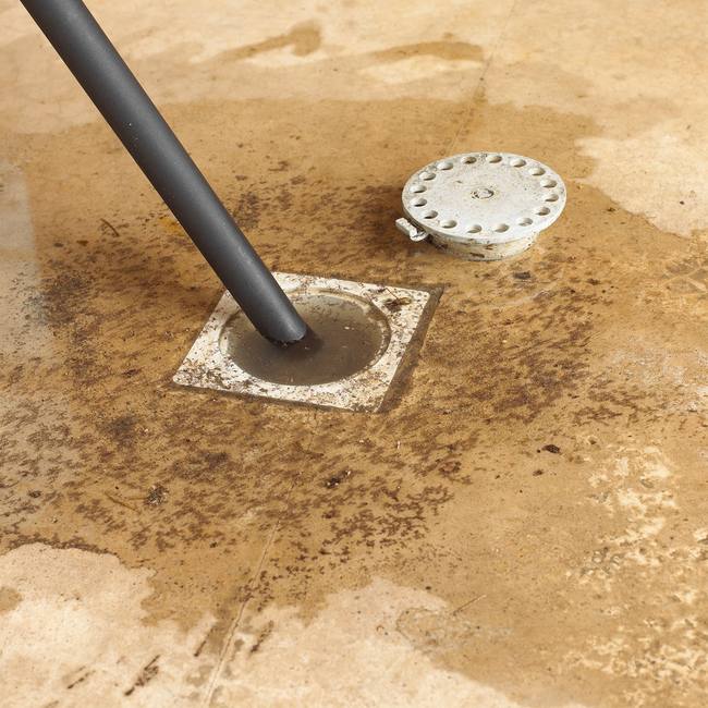 Shop-Vac 9051233 8 foot X 1-1/4 inch diameter Hose with Long Extension End