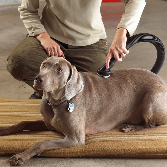 Shop-Vac 9190400 1-1/4 inch diameter Dog Grooming Tool