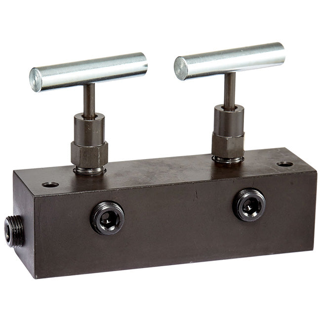 Freedom Hydraulics 6In. Long Manifold Block With 2 Needle Valves, 1 In - 2 Out, 3/8In. Nptf