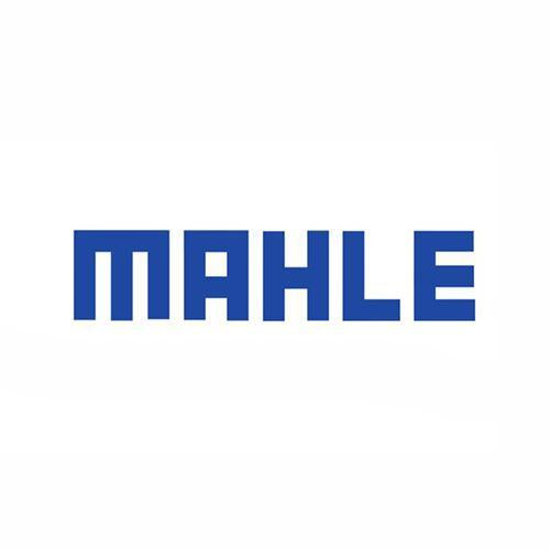MAHLE CSC-2200 - 2,200 lb. Shop Crane